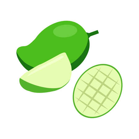 Green mango and pieces vector illustration isolated on white backgroundのイラスト素材