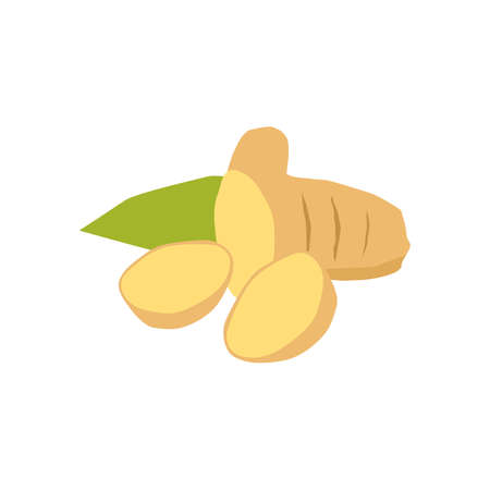 Ginger cut pieces vector illustration isolated on white backgroundのイラスト素材