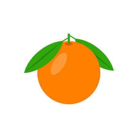 Orange vector illustration isolated on white backgroundのイラスト素材