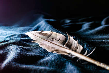 creative focused water drop on a feather on a black clothの写真素材