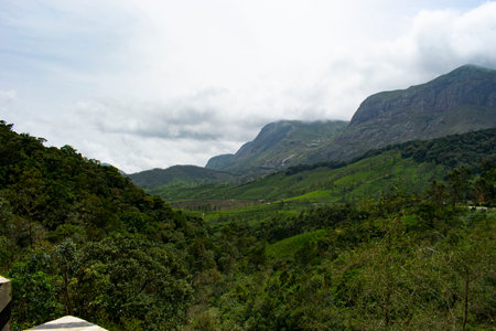 Tea Plantation in Munnar, Kerala, India. Munnar is one of the most popular tourist destinations in...