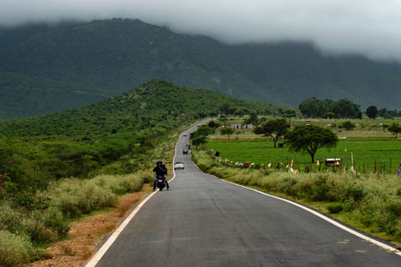 Road in the countryside of Sri Lanka. Landscape with a road in Sri Lanka.