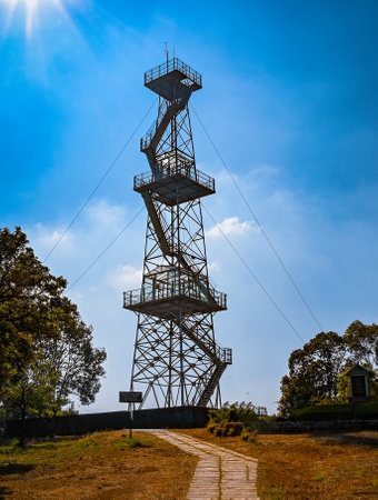 Observation tower in the park at sunny day, natural landscape backgroundの写真素材