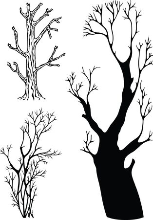 black trees without leavesのイラスト素材