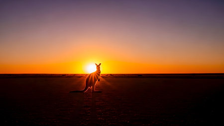 Kangaroo silhouette at sunset in the Australian Outback, Australiaの素材