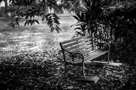 The antique chairの写真素材