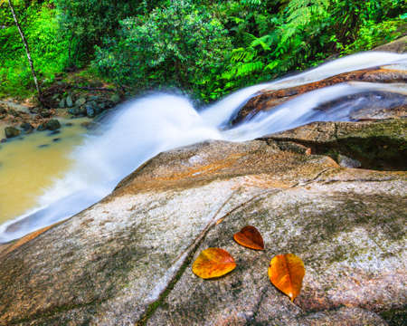 The waterfallの写真素材