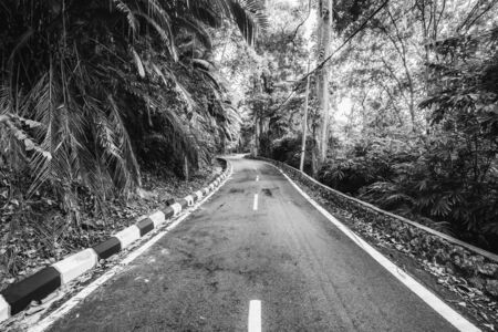 View of the road climbing the hill with the jungle beside in Pangkor island, Perak in black and whiteの写真素材