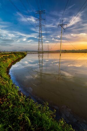 The reflection of voltage tower during golden sunrise with the curve shape lead line of the grass in Kubang Semang, Pulau Pinangの写真素材