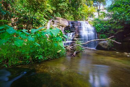 The fresh water flowing at the Merbok waterfall with taro trees as a foreground, located at Merbok, Kedah,  Malaysiaの写真素材
