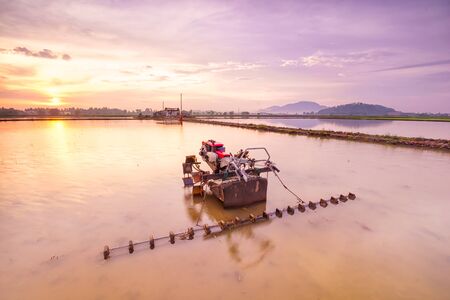 Tractor in paddy field with reflection of golden sunriseの写真素材