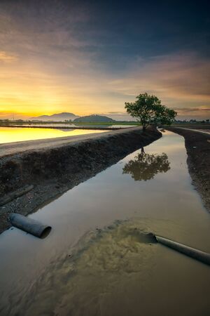 The river flow during the beautiful golden sunrise at Permatang Pau, Penang, Malaysiaの写真素材