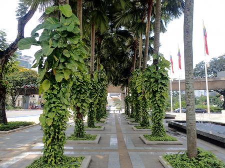 Trees provide shade at the square of Dataran DBKL  near the Kuala Lumpur City Hall building.のeditorial素材