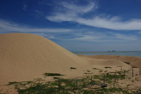 Sand dune with morning glory creeper plants at the beach of Pantai Mek Mas near Kota Bharu, Kelantan.の写真素材