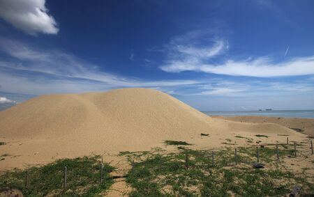 A mount of sand dune with morning glory creeper plants at its bottom in the beach of Kampung Mek Mas...