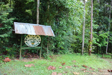 Sabah, Malaysia - July 16, 2019 : The signpost mark the location of Agathis Camp in Maliau Basin Conservation Area in Sabah, Malaysia.のeditorial素材