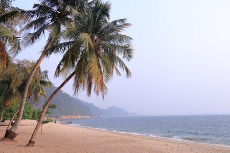 The beach scenery with coconut trees at Teluk Batik Beach near Lumut in Perak, Malaysia.の写真素材