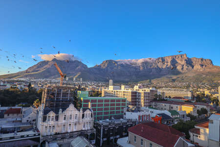 Cape Town, Sotuh Africa - March 17 2020 : Flock of pigeons fills up the the view of Long Street area in the city of Cape Town, South Africa with iconic Table Mountain in the background.のeditorial素材