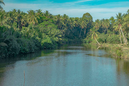 The Sungai Badang River bounds by thick vegetation of mainly coconut trees on it's banks in the outskirt of the city of Kota Bharu in Kelantan, Malaysia.の写真素材