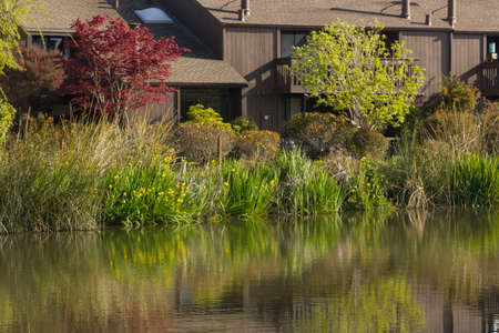 Spring at Nerie Lagoonの写真素材