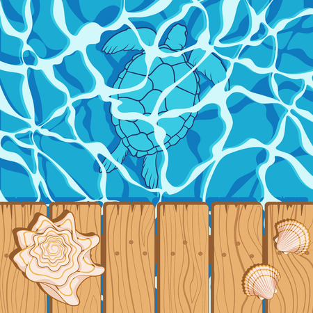 Marine summer background with water, shells, turtle.のイラスト素材