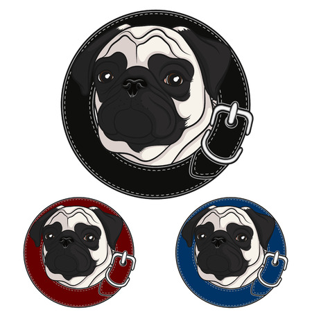 Color vector image of a pug wearing a collar.のイラスト素材
