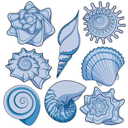 Set of colored sea shells. Isolated vector objects on white background.のイラスト素材