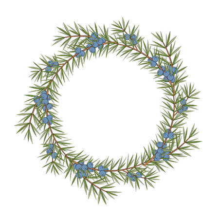 Isolated round frame of a juniper on a white background. Vector color illustration.のイラスト素材