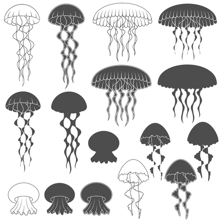 Set of black and white images with jellyfish. Isolated objects on white background.のイラスト素材