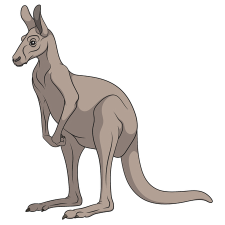 Color illustration of a gray kangaroo. Isolated vector object on white background.のイラスト素材