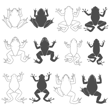 Set of black and white frogs. Isolated vector objects on white background.のイラスト素材