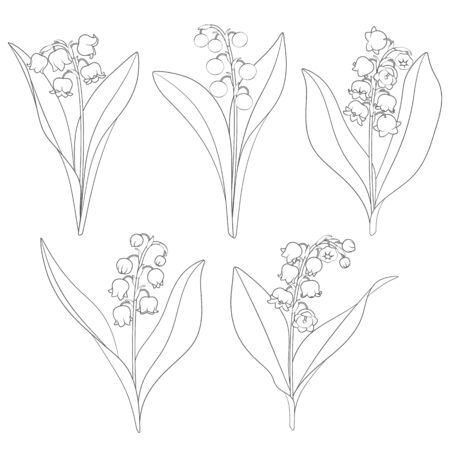 Set of black and white images with lilies of the valley. Isolated vector objects on a white background.のイラスト素材