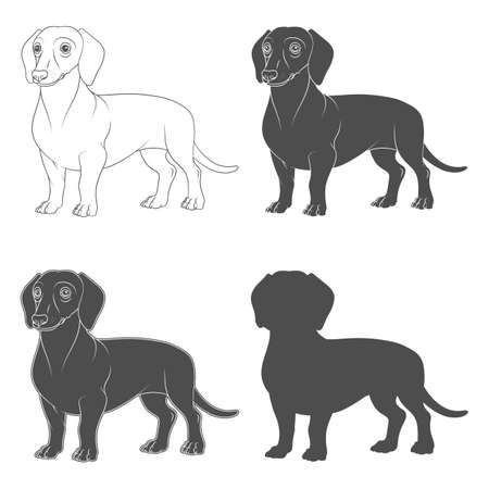 Set of black and white illustrations with the image of a dachshund dog. Isolated vector objects on a white background.のイラスト素材