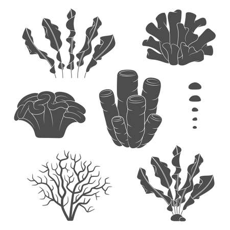 Set of black and white illustrations with corals and algae. Isolated vector objects on a white background.のイラスト素材