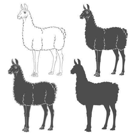Set of black and white illustrations with llama, alpaca. Isolated vector objects on a white background.のイラスト素材