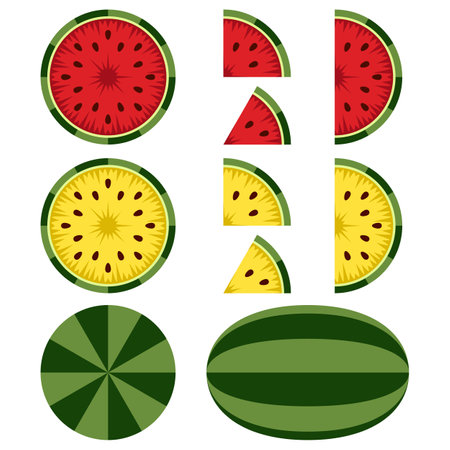 Set of illustrations with red and yellow watermelon. Isolated vector objects on a white background.のイラスト素材