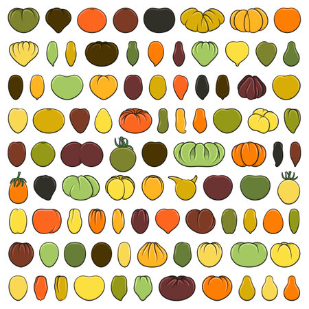 Set of color illustrations with tomatoes of various varieties and shapes. Isolated vector objects on a white background.のイラスト素材