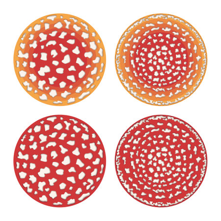 Set of color illustration with fly agaric mushroom caps. Isolated vector objects on white background.のイラスト素材