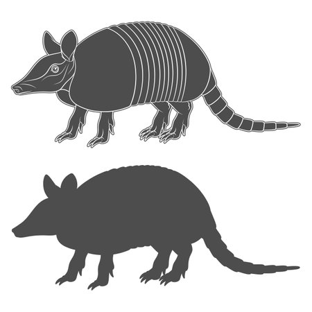 Set of black and white illustration with an armadillo. Isolated vector objects on white background.のイラスト素材