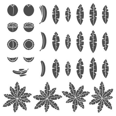 Set of black and white illustration with tropical palm, leaves, coconut and banana. Isolated vector object on white background.のイラスト素材