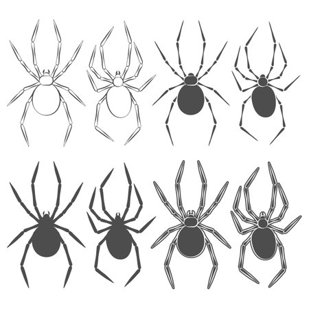 Set of black and white illustrations with spider. Isolated vector objects on white background.のイラスト素材