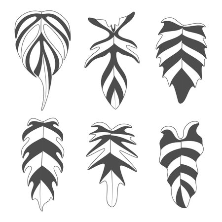 Set of black and white illustrations with monstera creeper plant leaves. Isolated vector objects on white background.のイラスト素材
