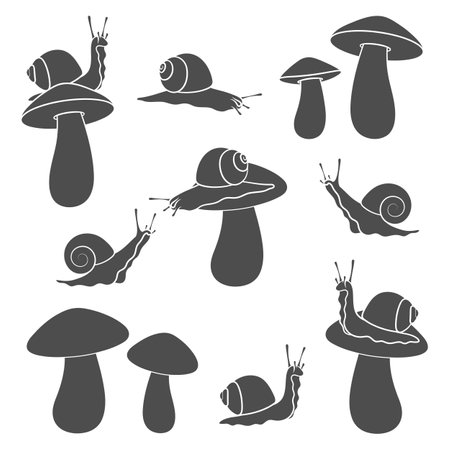 Set of black and white illustrations with snails and mushrooms. Isolated vector objects on white background.のイラスト素材
