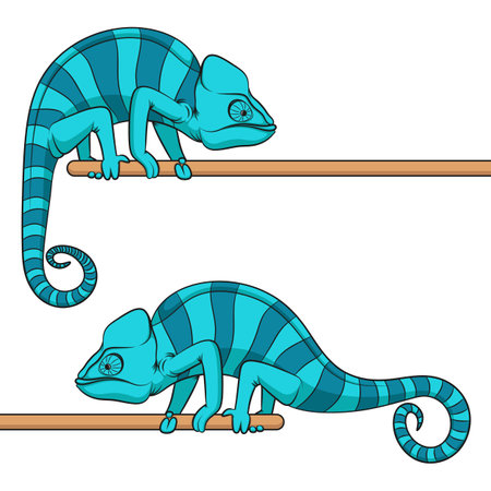 Set of color illustrations with blue chameleon. Isolated vector object on white background.のイラスト素材