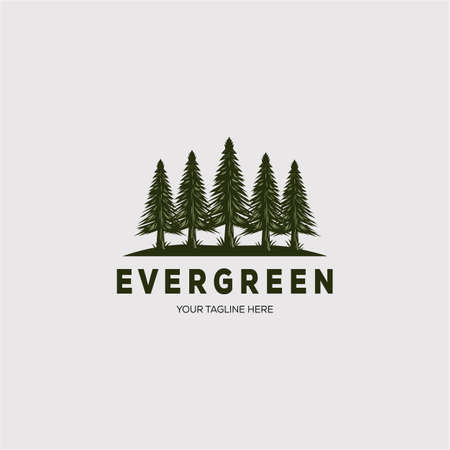 pine tree logo evergreen spruce fir vector emblem illustration designのイラスト素材