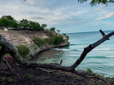 A captivating photo of a tree trunk set against the mesmerizing Lamreh Beach, Aceh Besar. This...