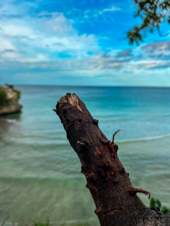 A photo of a cut tree trunk placed on the beach with a stunning sea view in the background, The cracked, dark wood texture contrasts beautifully with the bright sandy shore and the blue sea watersの写真素材