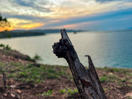 A photo of a cut tree trunk placed on the beach with a stunning sea view in the background, The...