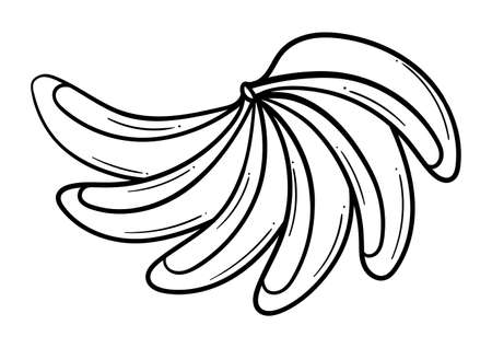 hand drawn bunch of bananas on a white backgroundのイラスト素材
