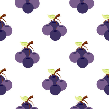 blueberry fruit seamless pattern on white backgroundのイラスト素材